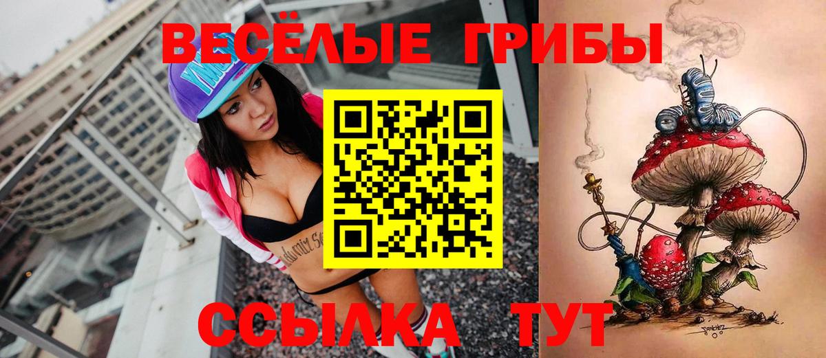Псилоцибиновые грибы GOLDEN TEACHER  Вход с VPN  Конаково  цены   Галлюциногенные грибы GOLDEN TEACHER 