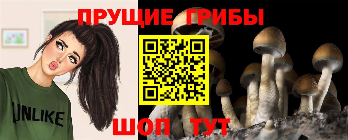 Каннабис  MDMA  МЕФ   ГАШ  Конаково  Вход с VPN 
